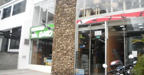 BOUTIQUE DEL GATO BELLAVISTA USAQUÉN BOUTIQUE DEL GATO BELLAVISTA USAQUÉN